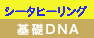 基礎DNA 12/20、21、23　（３日間） @ ホリスティック・ビーイング湘南 | 藤沢市 | 神奈川県 | 日本