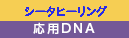 応用DNA 12/27、28、30　（３日間） @ ホリスティック・ビーイング湘南 | 藤沢市 | 神奈川県 | 日本